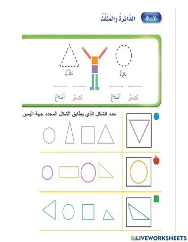 الدائرة والمثلث