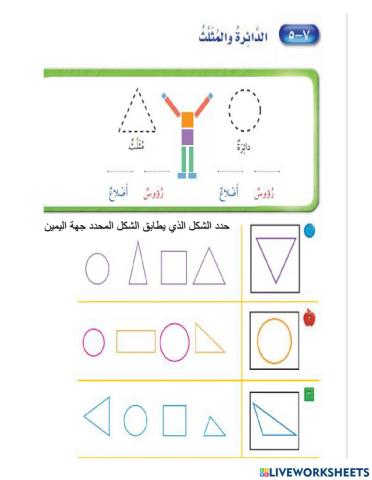 الدائرة والمثلث