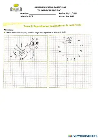 Dibujar en la cuadrícula