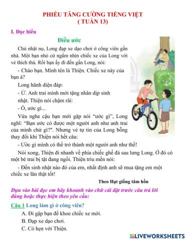 Phiếu tăng cường TV tuần 13