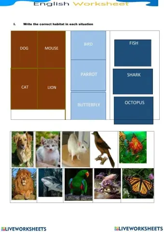 Animals and habitats