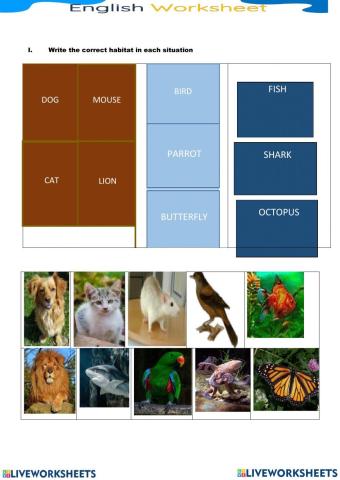 Animals and habitats