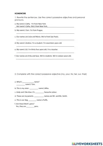 Possessive adjectives