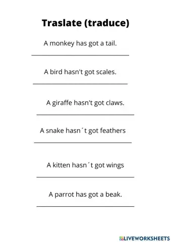 Verbos tener y animales