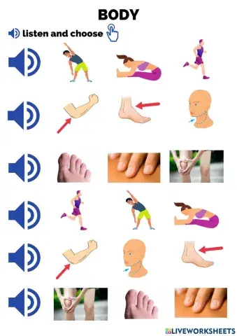 Joints and body movements