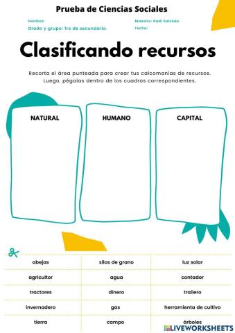 Clasifica los Recursos