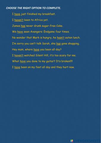 Present perfect: have-has positive and negative