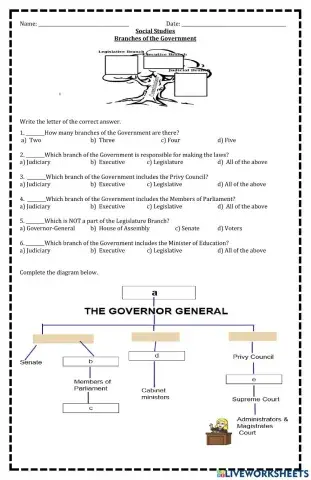 Branches of Government
