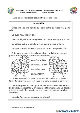 Refuerzo de sustantivos, adjetivos, diminutivos