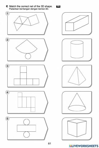 Construct Nets of 3D Shapes