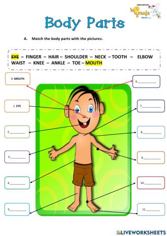 Body parts