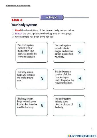 Human body system