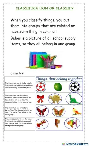 Classification Notes