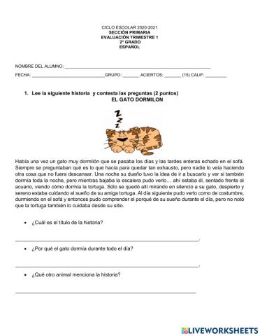 Evaluacion de español