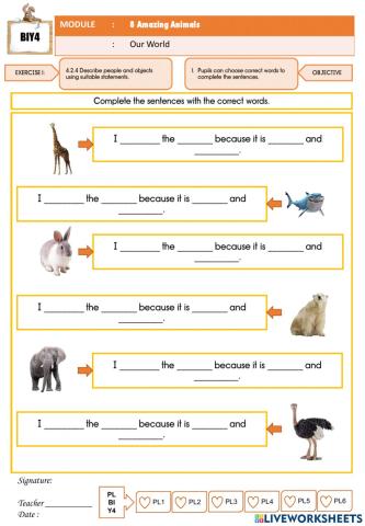 4-11 Year 4 Module 8