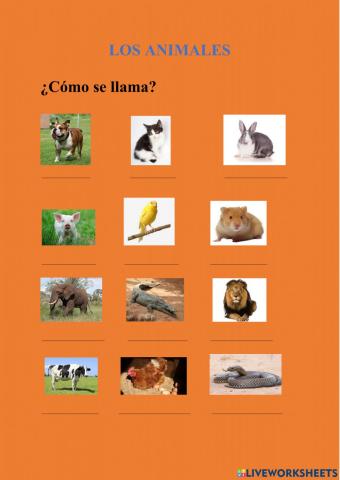 Los animales