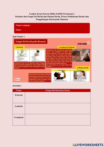 Lkpd pertemuan 1