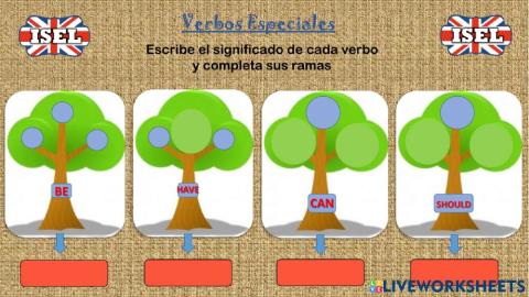 Special verbs tree