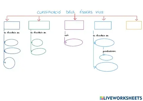 Mapa conceptual La classificació dels éssers vius