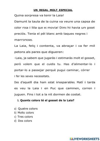 Un regal molt especial