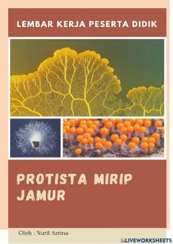 Lkpd protista mirip jamur