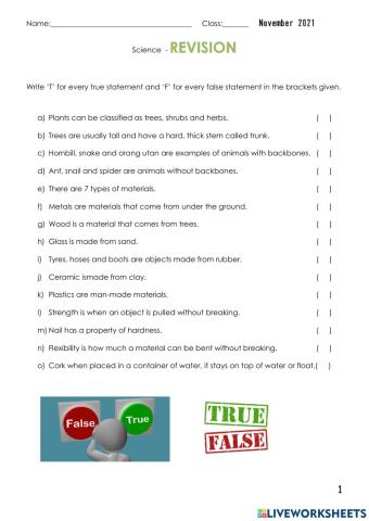 Revision classification of living and no living things