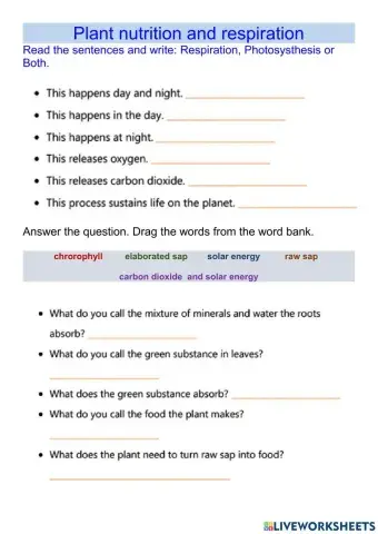 Plant nutrition and respiration