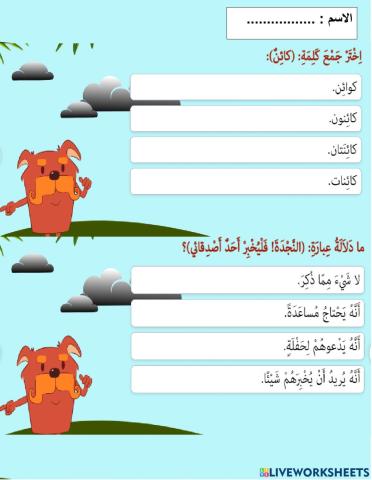 مغامرة في غابة الأمازون