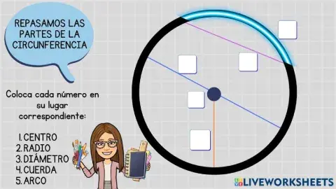 Partes de la circunferencia