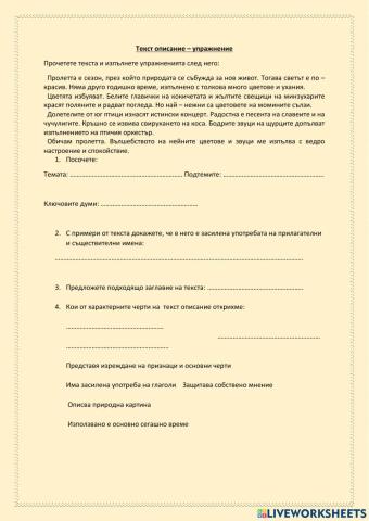 Текст описание