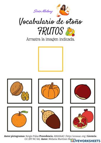 Vocabulario otoño frutos