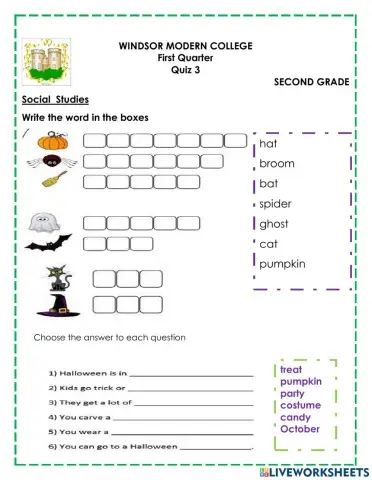 Social st quiz 3 1stw