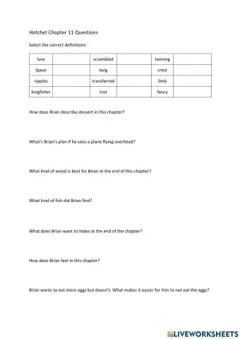 Hatchet Chapter 11 Questions