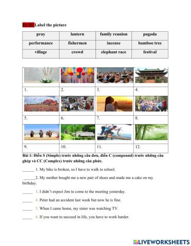 English 8-Unit 5-Vocabulary