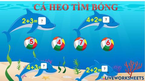 Tìm bóng cho cá heo