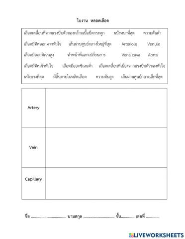 หลอดเลือด