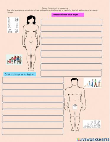 Cambios físicos durante la adolescencia .