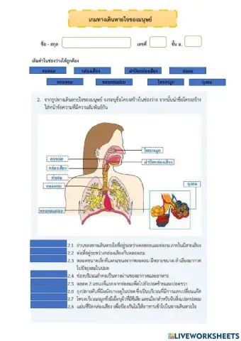 เกมทางเดินหายใจของมนุษย์
