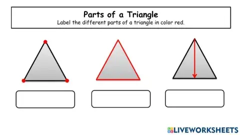 Parts of a Triangle