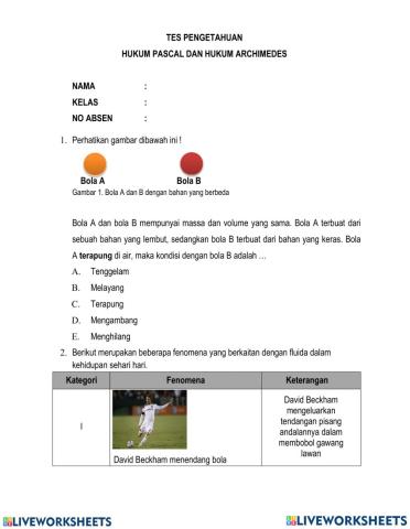 Hukum Pascal dan Hukum Archimedes