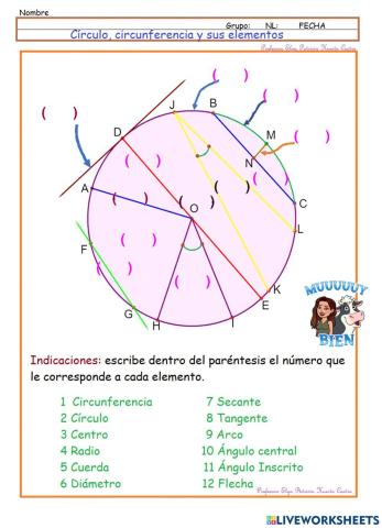 Círculo, circunferencia y sus elementos