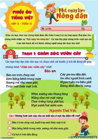 Bài tập tuần 11