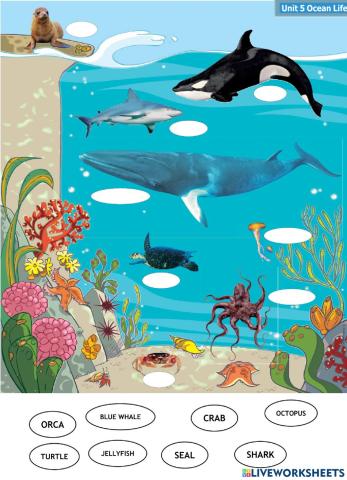 Vocabulary evaluation