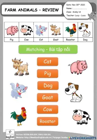 Farm Animals