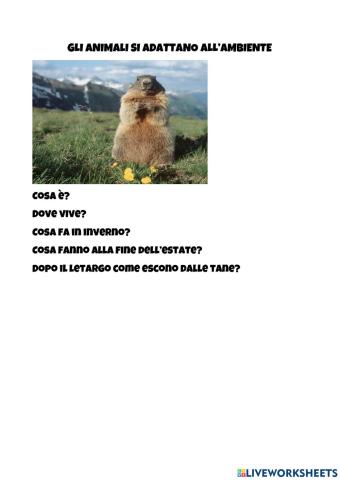 L'adattamento all'ambiente