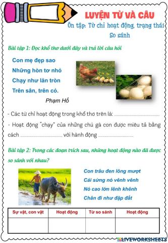 Luyện từ và câu