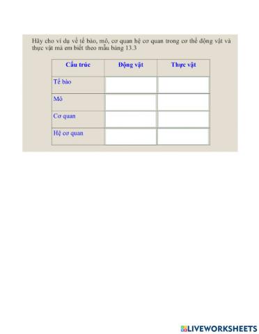 Điền câu trả lời