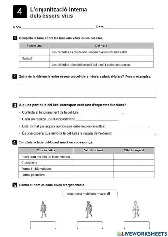 Control Naturals Tema 4