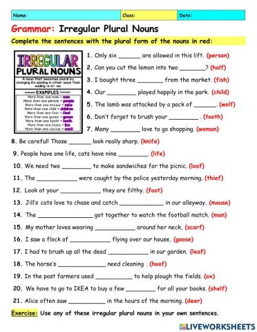 Irregular plural nouns