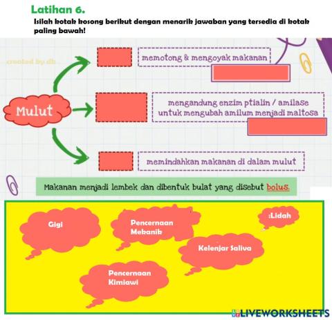 Latihan Sistem Pencernaan 6